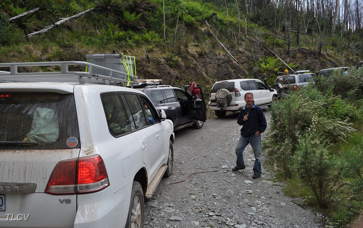 17-Gunther waits to see Hoppy clear the fallen tree on White Star Track.JPG